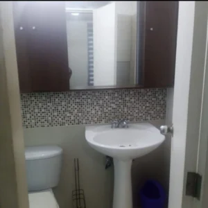 Cotoperi amoblado1