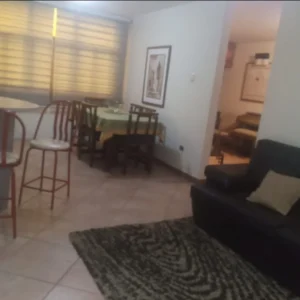 Cotoperi amoblado8
