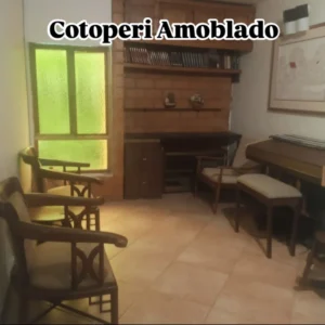 Cotoperi amoblado9